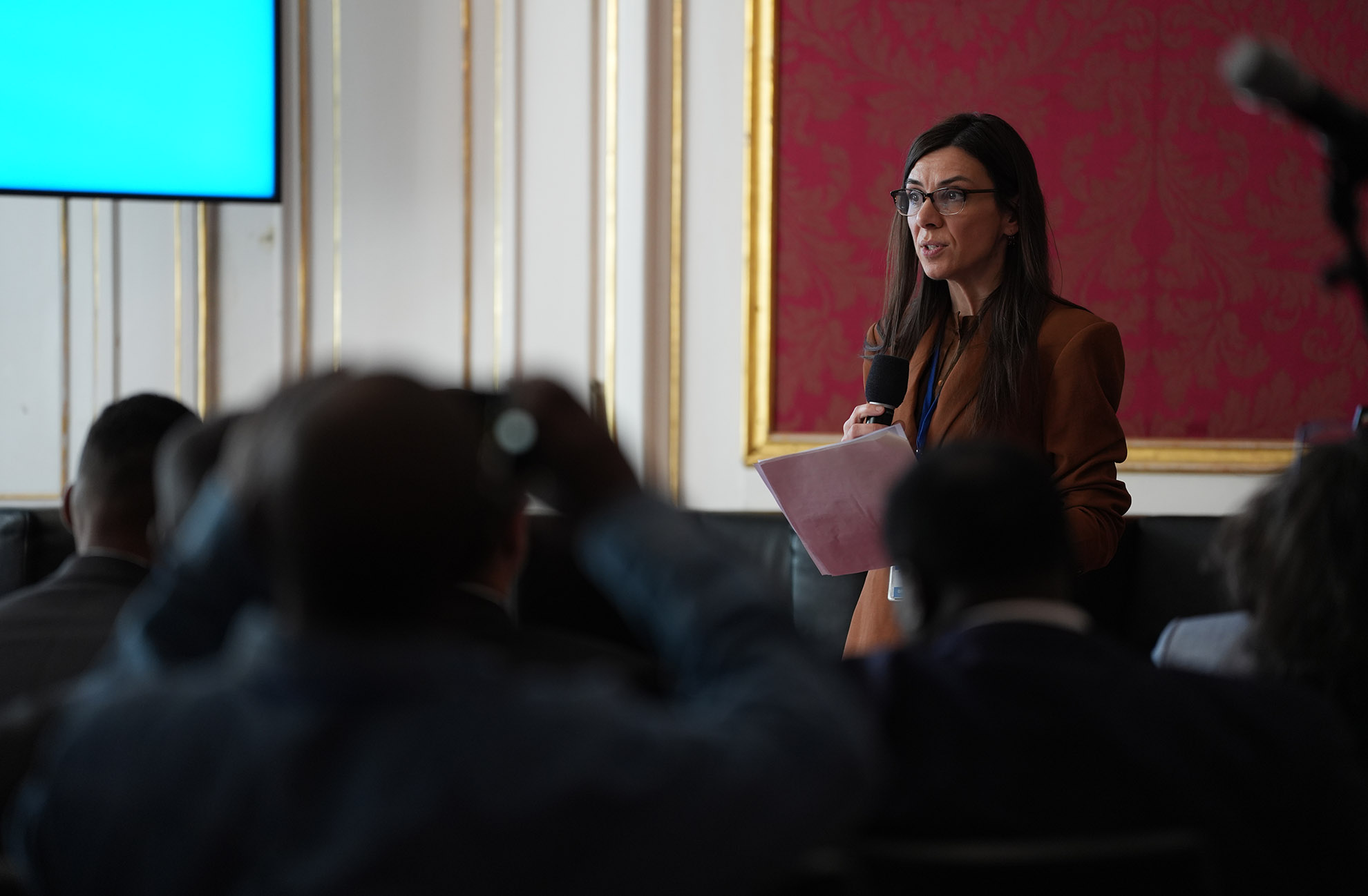 Georgia Valeria Iordanescu, Chief, Sustainable Energy and Just Transitions Unit, UNIDO